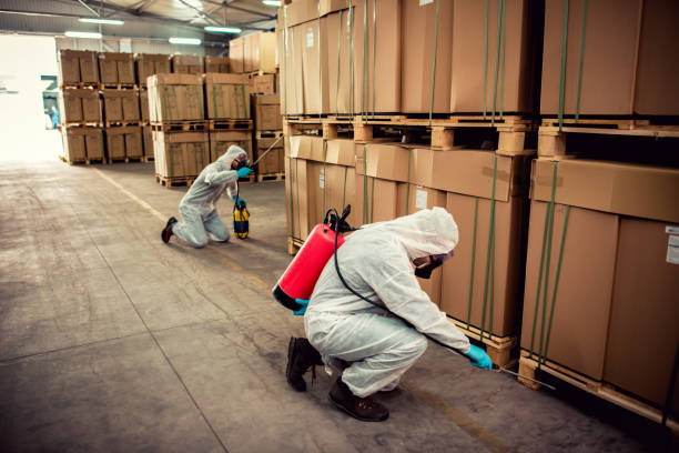 Best Affordable Exterminators  in Kidron, OH