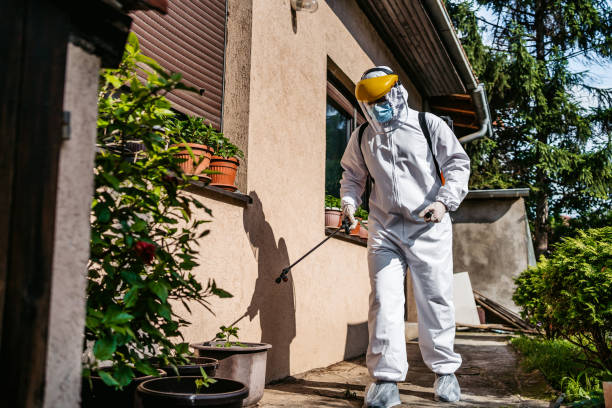 Best Wildlife Control Services  in Kidron, OH