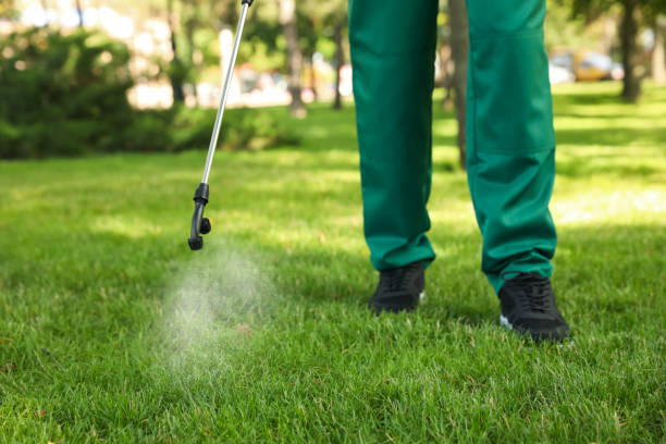 Best Pest Control Near Me  in Kidron, OH