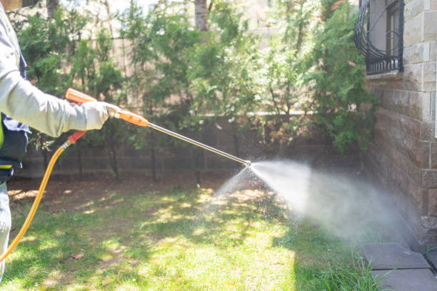 Best Wasp Removal Services  in Kidron, OH
