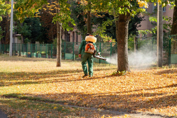 Best Spider Control Near Me  in Kidron, OH