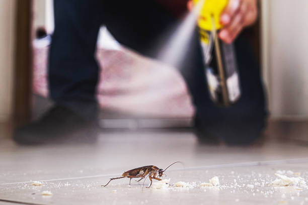 Best Emergency Pest Control  in Kidron, OH