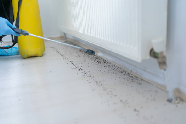 Trusted Kidron, OH Pest Control Experts