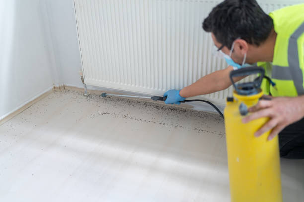 Best Residential Pest Control  in Kidron, OH