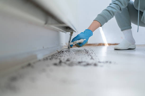 Best Commercial Pest Control Services  in Kidron, OH
